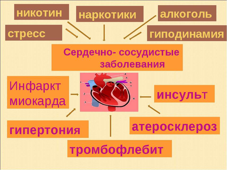 Заболевания сердца презентация